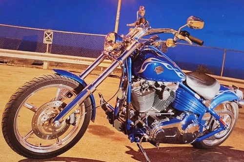 Harley davidson softail - davidson,