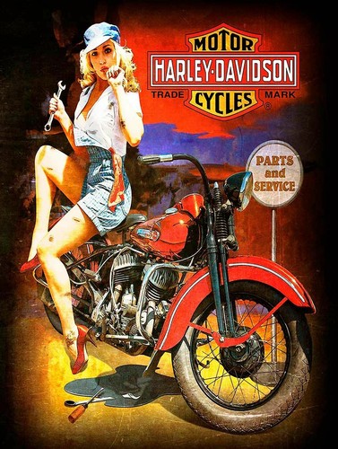 Harley davidson parts - harley, and